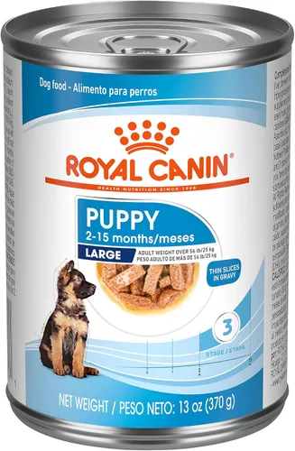 Miniatura 9 de Royal Canin Size Health Nutrition - Alimento para perros grandes en rodajas finas en salsa, 13 onzas (paquete de 6)