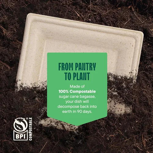 Miniatura 6 de Platos de papel cuadrados 100% compostables [paquete de 50] – {Sin PFAS} – {Certificado BPI} – [6 pulgadas] – Platos de cena de bagazo