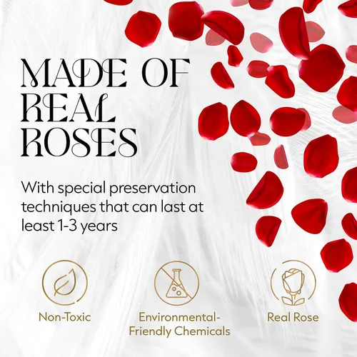 Miniatura 2 de GLAMOUR BOUTIQUE Flowers Forever - Caja de regalo, 12 rosas preservadas reales en caja blanca de terciopelo, regalo floral para esposa, mamá o ella