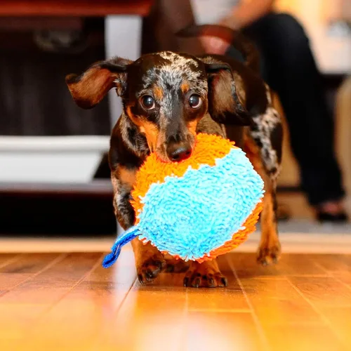 Miniatura 4 de Chuckit! Coctelera de caza interior para perros, juguetes interactivos para perros para aburrimiento, 7.75 pulgadas, naranja y azul Coctelera