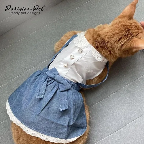 Miniatura 4 de Parisian Pet Chambray - Vestido para perro - Ligero sin mangas para perro, niña, talla XS Chambray en general