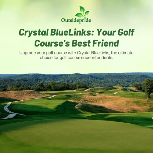 Miniatura 5 de Outsidepride Crystal Bluelinks - Semilla de césped doblada rastrera – 1 libra de césped denso para verdes de golf y superficies de putting, textura