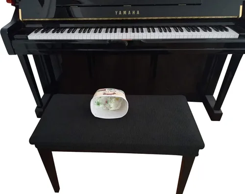 Miniatura 9 de Funda impermeable para banco de piano, perfecta para mascotas, niños, ancianos, bodas, fiestas. Lavable a máquina, elástica, extraíble, se limpia