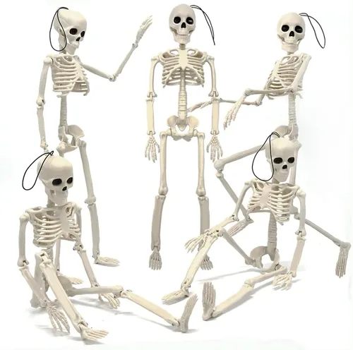 5 piezas de esqueletos colgantes para decoración de Halloween, articulaciones móviles de 16 pulgadas, esqueleto realista de plástico para patio,
