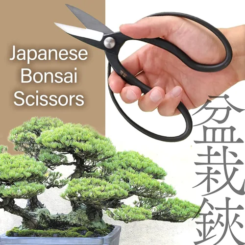 Miniatura 2 de YAMASAN KYOTO UJI Tijeras japonesas Suiryu Bonsái – Tijeras de podar tradicionales Hasami, herramientas japonesas de jardín de bonsái, fabricadas