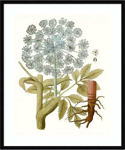 Amanti Art Framed Wall Art Print 33x28 Lacy Leaves III, Flowers Wall Art, Vintage Decor, Large Poster Painting Artwork for Living Room, Bedroom,