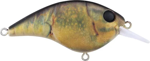 Miniatura 43 de Berkley Frittside Fishing Hard Bait Bronceado en aerosol