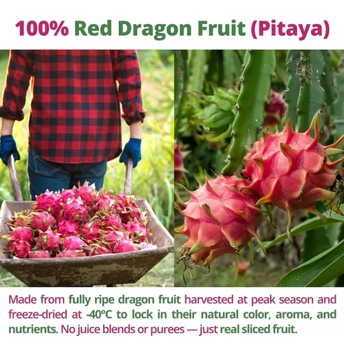 Miniatura 8 de Cubos de fruta del dragón liofilizada – 120g (4.23oz) 100% Trozos de fruta del dragón roja (Pitaya), fruta deshidratada crujiente para batidos