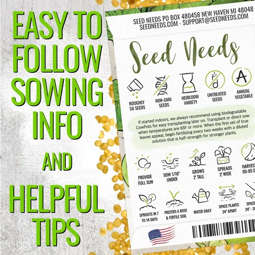 Miniatura 4 de Seed Needs Semillas de tomatillo para plantar tomatillos Grande Rio Verde, reliquia sin OMG y sin tratar, cultiva un huerto al aire libre cultivado