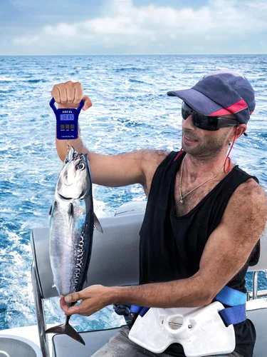 Miniatura 4 de HEETA Báscula de pescado, báscula digital portátil de pesca colgante de 110 libras / 110.2 lbs con pantalla LCD retroiluminada, báscula de equipaje