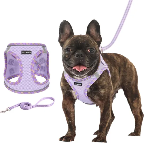 Rttochfy Arnés para perro pequeño, arnés suave y reflectante para cachorro, arnés y correa para perros de tamaño pequeño, entrenamiento y caminar