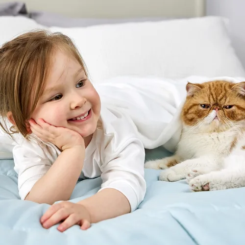 Miniatura 5 de Bedsure GentleSoft Bedding Manta de Vellón para Niñas y Niños - Mantas Pequeñas Suaves, Acogedoras y Bonitas para Viajes, 43x55 Pulgadas, Blanco