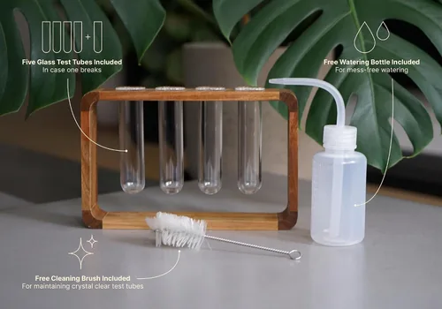 Miniatura 5 de Source & Plot Estación de propagación de plantas, soporte de madera de acacia con 4 tubos de ensayo de vidrio, estante hidropónico de mesa