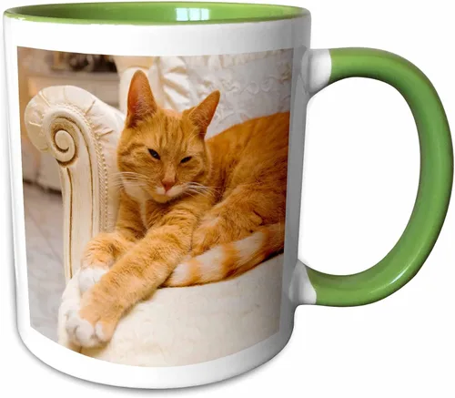 Miniatura 11 de 3D Rose Happy Orange Tabby Cat Relaxing on Fancy Armchair - Taza de cerámica de dos tonos, color negro