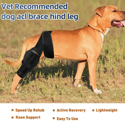 Miniatura 3 de L - Soportes para patas de perro para la pierna trasera para apoyo con lesiones del ligamento cruzado, mejor recuperación con rodillera de perro
