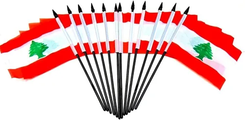 Miniatura 48 de Paquete de 12 banderas de escritorio de oficina en miniatura de poliéster internacional de 4 x 6 pulgadas, 1 docena de banderas pequeñas de 4 x 6