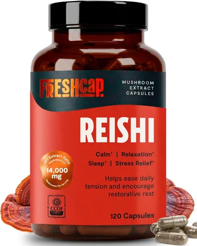Miniatura 10 de FreshCap Mushrooms Suplemento de melena de leones en polvo, 14,000 mg, extracto de melena de león, suplemento de hongos para concentración