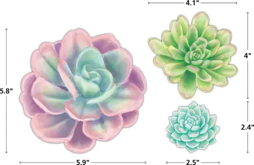 Miniatura 5 de Teacher Created Resources Acentos de suculentas de flores rústicas, varios tamaños (TCR8590)