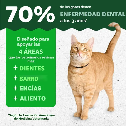 Miniatura 3 de Greenies Golosinas para gatos, golosinas dentales naturales para adultos recomendadas por veterinarios felinos, sabor hierba gatera, bañera de 9.75