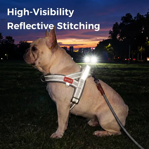 Miniatura 9 de Arnés sin tirones para perro, con asa, chaleco reflectante ajustable Corgi, arnés acolchado de malla de aire transpirable para mascotas con clip