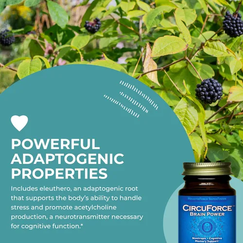 Miniatura 5 de HEALTHFORCE SUPERFOODS CircuForce Brain Power - 30 VeganCaps