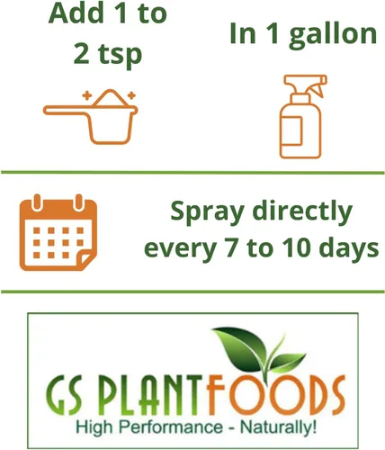 Miniatura 4 de GS Plant Foods Fertilizante soluble en agua multiusos 20-20-20, alimento vegetal equilibrado NPK con micronutrientes, contiene algas marinas