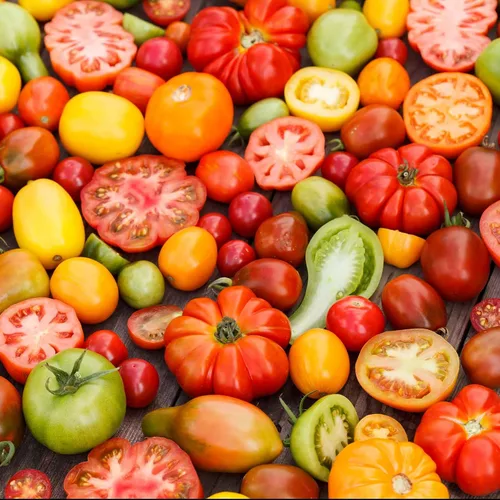Miniatura 29 de Eden Brothers Semillas de tomate – Semillas de caqui sin OMG para plantar, paquete Semillas de vegetales de bajo mantenimiento, plantas durante