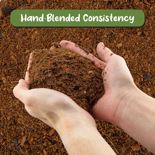 Miniatura 3 de Soil Sunrise Mezcla de tierra para macetas de terrario (8 cuartos de galón) con carbón filtrado mezclado hecho a medida para terrarios