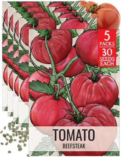 Miniatura 18 de Seed Needs Semillas de tomate cereza negra para plantar, reliquia sin OMG y sin tratar, variedad indeterminada para plantar un huerto al aire libre