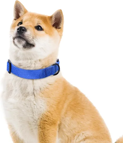 Miniatura 6 de Mile High Life Collar ajustable de polialgodón suave y fuerte con hebilla de liberación rápida para perros pequeños a grandes