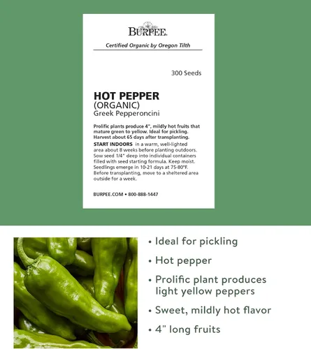 Miniatura 2 de Burpee Semillas de Pimiento Picante Griego Orgánico Pepperoncini 300 No-GMO para Plantar Jardín Casero Pimientos Amarillo Claro Ligeramente