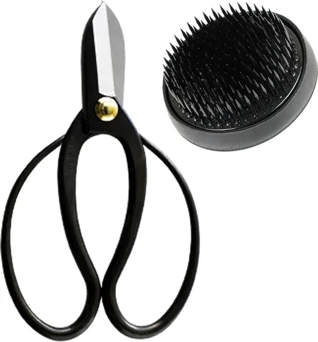 Wazakura Kit de herramientas Ikebana fabricado en Japón, tijeras Koryu + soporte de flores Kenzan negro, juego de arreglos florales japoneses,