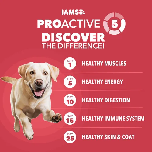Miniatura 2 de IAMS Proactive Health - Alimento seco para perros adultos de raza grande, receta de cordero y arroz, bolsa de 40 libras