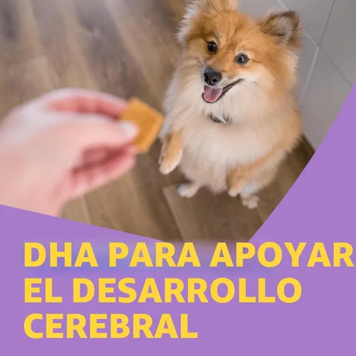 Miniatura 4 de Premios de entrenamiento para cachorro sin grano de Wellness, Amarillo