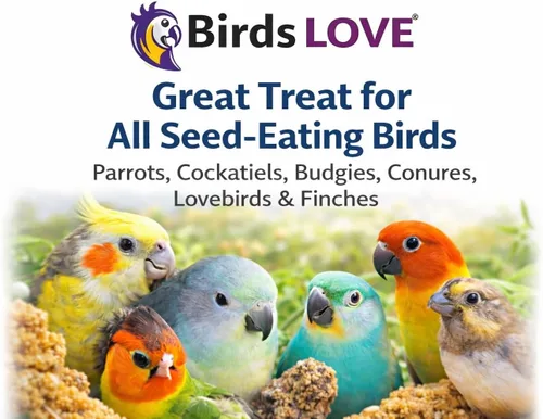 Miniatura 9 de Birds LOVE Mijo en aerosol saludable de 1 libra para pájaros, cultivado en Estados Unidos, natural secado al sol, racimos gruesos ricos en semillas