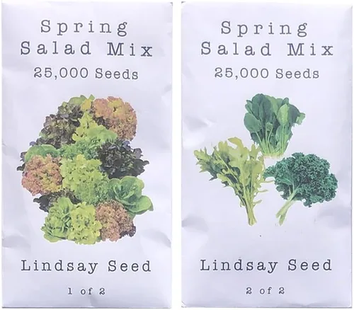 Miniatura 8 de Mezcla de ensalada de primavera 25000 semillas para plantar 'Cut and Come Again', 12 variedades de lechuga, espinaca, rúcula y col rizada.