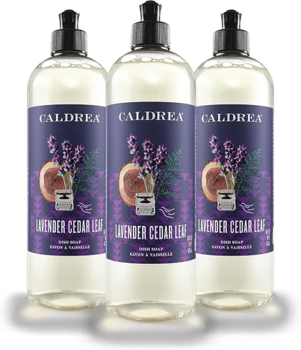 Caldrea Jabón para platos, líquido biodegradable para lavar platos hecho con corteza de jabón y aloe vera, hoja de cedro de lavanda, 16 onzas,