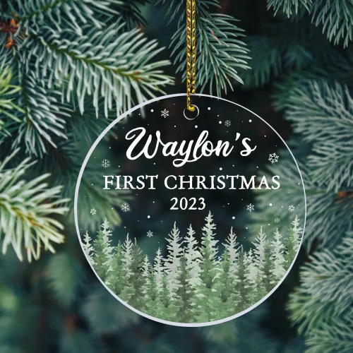Miniatura 10 de Adornos personalizados de primera Navidad para bebés 2023, adorno del desierto de cactus, adorno de la primera Navidad del bebé, adornos Bebé 16
