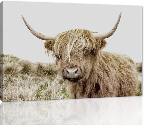 Miniatura 41 de Póster moderno de pared de vaca de las tierras altas, póster impreso en lienzo alpino desierto, decoración de pared de animales para sala de estar