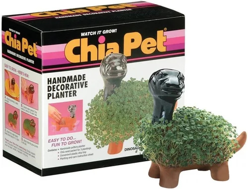 Miniatura 7 de Chia Pet Bear Cub con paquete de semillas, maceta decorativa de cerámica, fácil de hacer y divertido de cultivar, regalo novedoso, perfecto