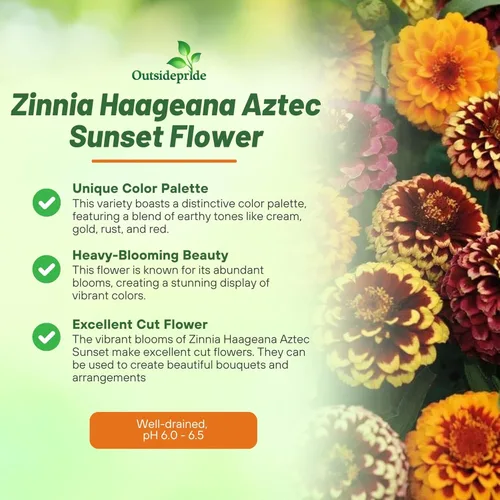 Miniatura 3 de Outsidepride - Zinnia Haageana, 100 semillas anuales, Aztec Sunset Flower Seed Mix, mezcla de semillas de flores para plantar