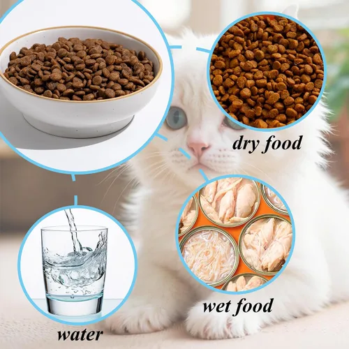 Miniatura 5 de Juego de 3 cuencos para gatos, platos antideslizantes para mascotas y gatos, cuencos de agua poco profunda, cuencos anchos para aliviar el estrés