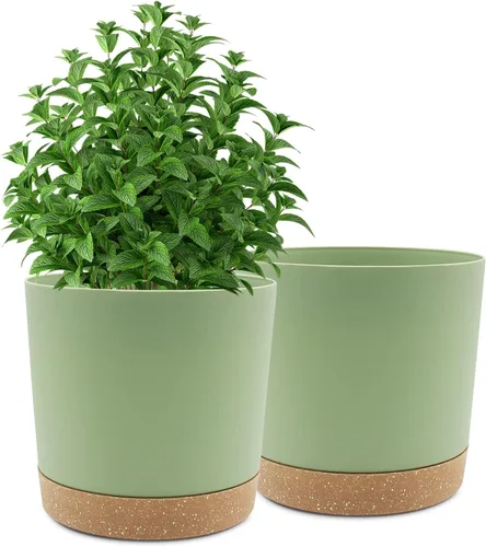 Miniatura 14 de QCQHDU Maceta de 8 pulgadas, paquete de 2 macetas para plantas de interior con agujeros de drenaje y platillo, macetas para exteriores, decoración