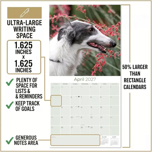 Miniatura 4 de Calendario Borzoi 2025 2026 – Calendario mensual de pared de raza de perro – 12 x 24 pulgadas abierto – Papel grueso que no se corre – Regalar