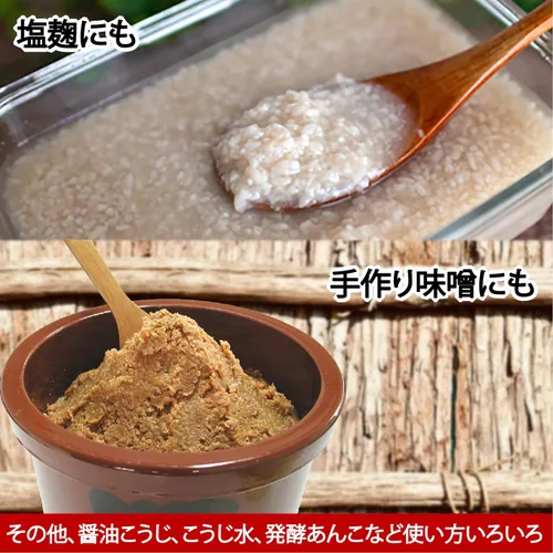 Miniatura 4 de IseSo Miyako Koji 1 kg