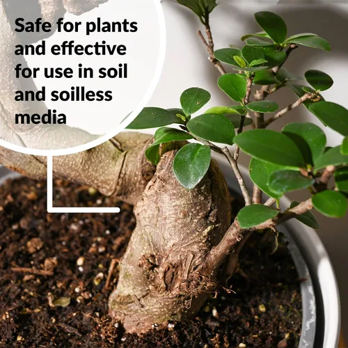 Miniatura 8 de Dyna-Gro BON-008 Bonsai-Pro Fertilizante líquido para plantas 7-9-5, 8 onzas.