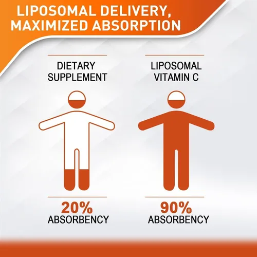 Miniatura 2 de Vitablosom Vitamina C Liposomal 2000mg Líquido para Adultos, Alta Absorción de VIT C, Maximiza la Vitamina C, Bueno para el Sistema Inmune