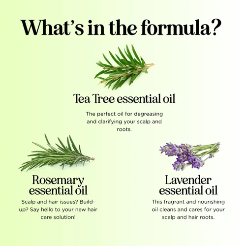 Miniatura 5 de Champú aclarante para acumulación y cabello graso - Champú de árbol de té para hombres y mujeres con aceite esencial de romero para cabello graso