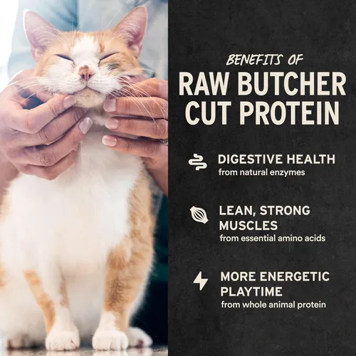 Miniatura 4 de Vital Essentials Golosinas liofilizadas para gatos Mordeduras de salmón, proteína única Calidad premium Sin granos, golosinas crujientes