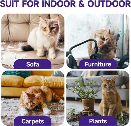 Miniatura 4 de WEALLIN Spray disuasorio para gatos, 6.76 onzas líquidas, repelente de gatos natural para interiores y exteriores, ayuda de entrenamiento